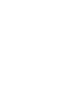 Certyfikat AVPN — Associazione Verace Pizza Napoletana nr 739
