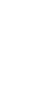 Certyfikat AVPN — Associazione Verace Pizza Napoletana nr 739